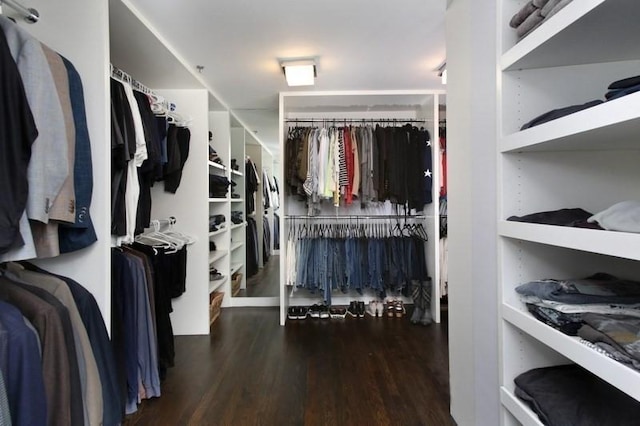 spacious closet featuring hardwood / wood-style floors