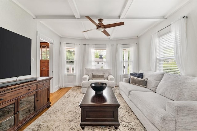 59-61 Elm St, Andover, MA 01810 - living area with light wood finished floors, ceiling fan, beam ceiling, and ornamental molding
