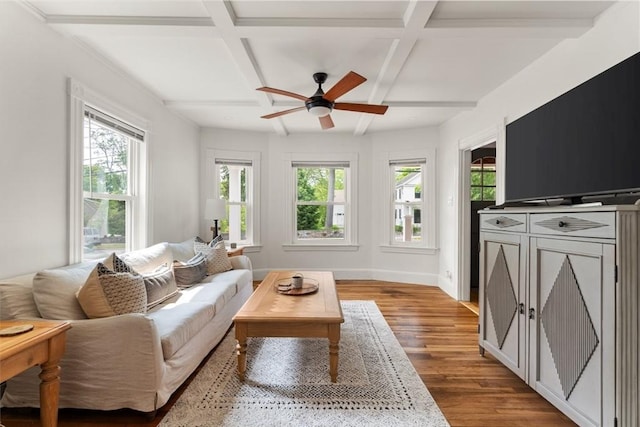 59-61 Elm St, Andover, MA 01810 - living area featuring coffered ceiling, ceiling fan, wood finished floors, and beam ceiling