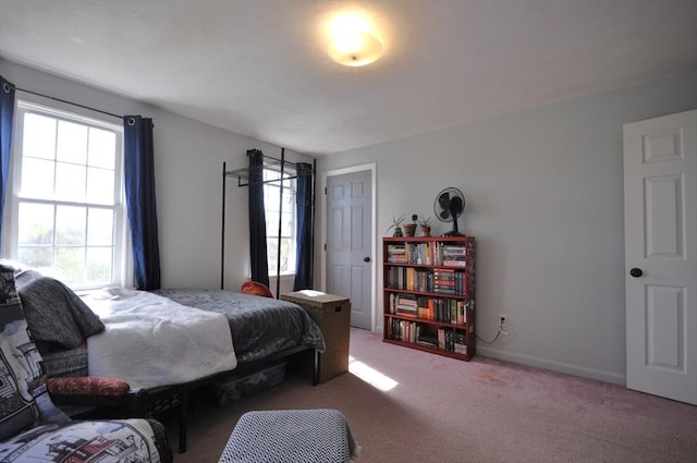 bedroom with carpet