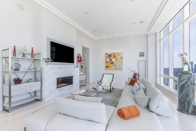 living area featuring plenty of natural light and a premium fireplace