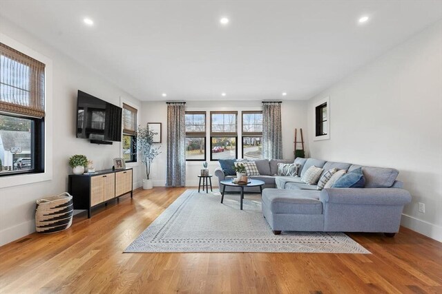 living room with hardwood / wood-style floors