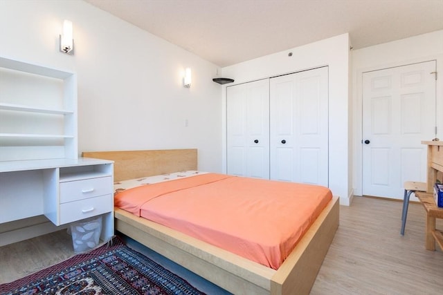 8-12 Museum Way Unit 1302, Cambridge, MA 02141 - bedroom with light wood-type flooring and a closet