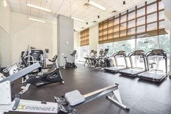 8-12 Museum Way Unit 1302, Cambridge, MA 02141 - gym with plenty of natural light and a towering ceiling