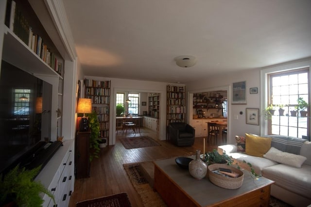 living room featuring wood finished floors and plenty of natural light