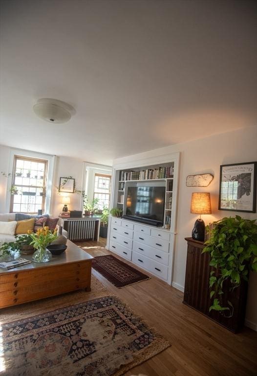 living area with wood finished floors, plenty of natural light, and baseboards
