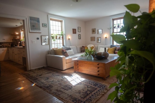 living area featuring wood-type flooring