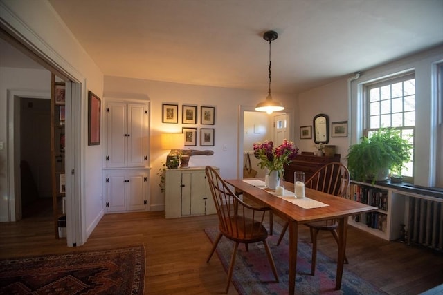 dining area featuring wood finished floors and radiator heating unit