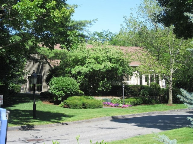 770 Salisbury Unit 302, Worcester, MA 01609 - view of home's community with a yard