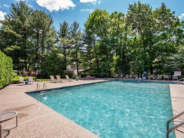 770 Salisbury Unit 302, Worcester, MA 01609 - community pool with a patio and view of scattered trees