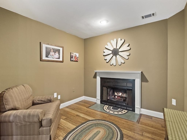770 Salisbury Unit 302, Worcester, MA 01609 - living room featuring wood finished floors and a fireplace with flush hearth