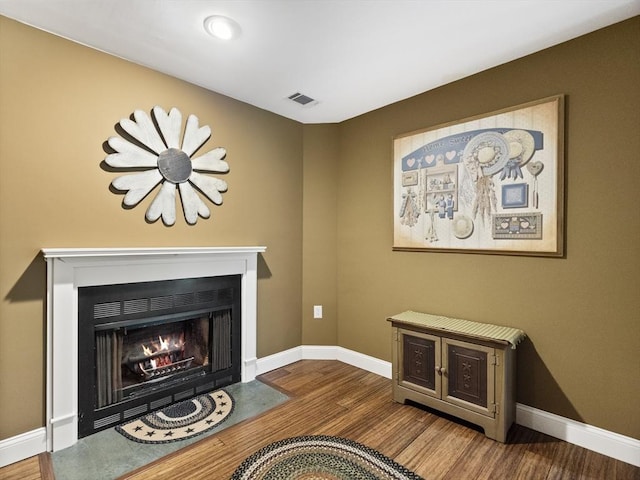 770 Salisbury Unit 302, Worcester, MA 01609 - living room with wood finished floors and a fireplace with flush hearth