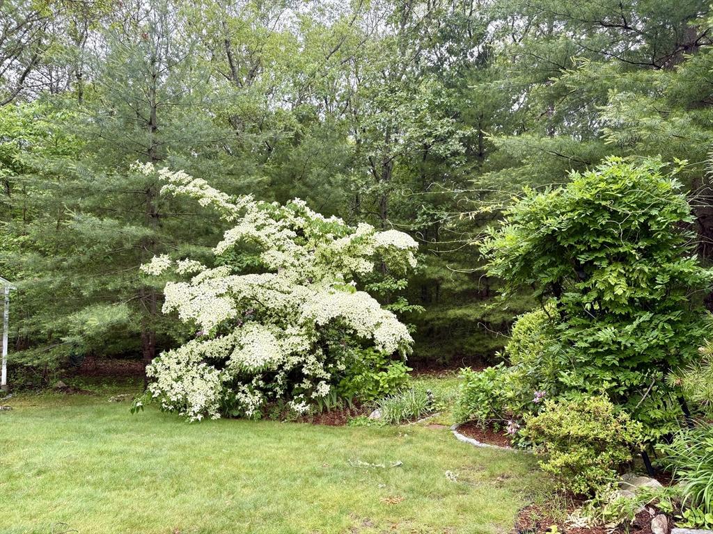 160 Coachman Ln, Barnstable, MA 02668 - view of green lawn