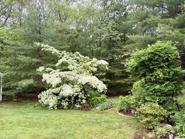 160 Coachman Ln, Barnstable, MA 02668 - view of green lawn