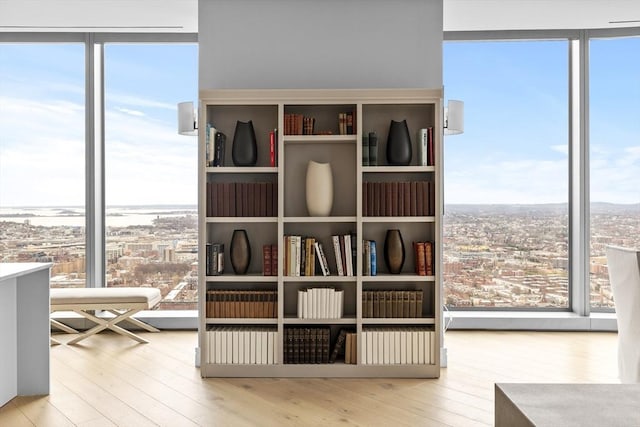 room details with wood-type flooring