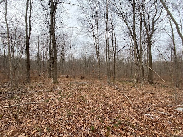 LOT169-22 Beebe Rd, Monson MA, 01057 land for sale