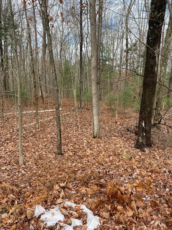 Listing photo 3 for LOT169-22 Beebe Rd, Monson MA 01057