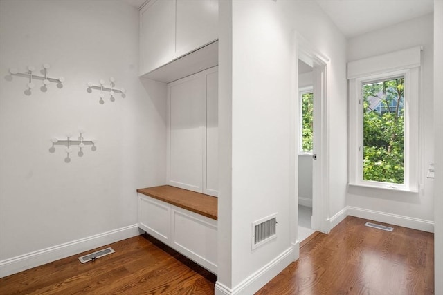 69 Princeton Rd, Brookline, MA 02467 - mudroom featuring dark wood-style floors