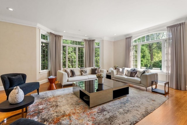 69 Princeton Rd, Brookline, MA 02467 - living room featuring ornamental molding, wood finished floors, and recessed lighting