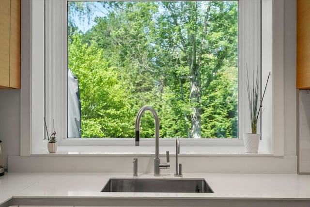 69 Princeton Rd, Brookline, MA 02467 - kitchen view of a sink and light countertops
