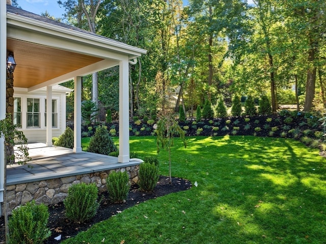 view of yard featuring a patio