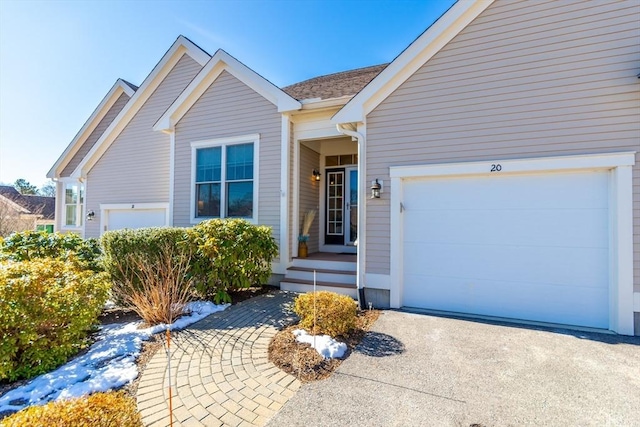 view of front facade with a garage