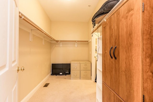 spacious closet with light colored carpet