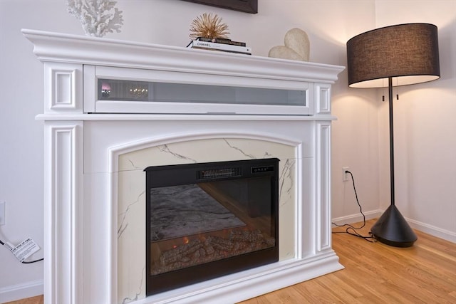 details featuring wood-type flooring and a premium fireplace