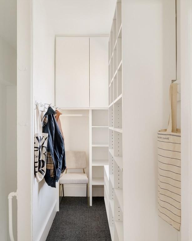 31 Kidder Ave Unit 31, Somerville, MA 02144 - spacious closet with carpet floors