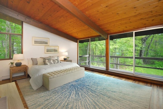 201 Annursnac Hill Rd, Concord, MA 01742 - bedroom with multiple windows, wood finished floors, wooden ceiling, and a baseboard heating unit