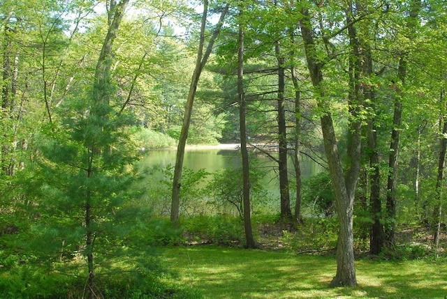 201 Annursnac Hill Rd, Concord, MA 01742 - water view featuring a forest