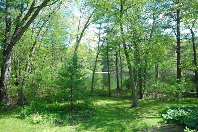 201 Annursnac Hill Rd, Concord, MA 01742 - view of tree filled area
