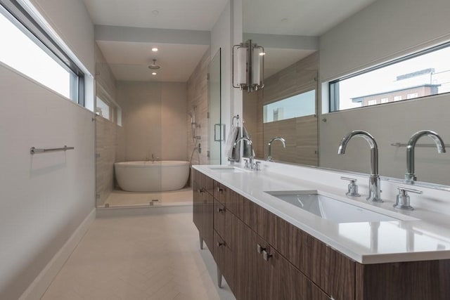 full bath with a freestanding tub, a sink, and a healthy amount of sunlight