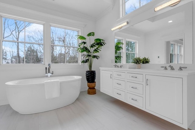 bathroom featuring ornamental molding, a freestanding bath, a sink, and double vanity