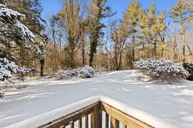 view of yard layered in snow