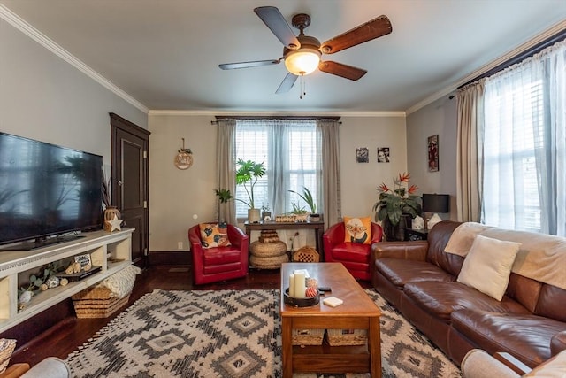 living room with crown molding, dark wood-type flooring, and ceiling fan