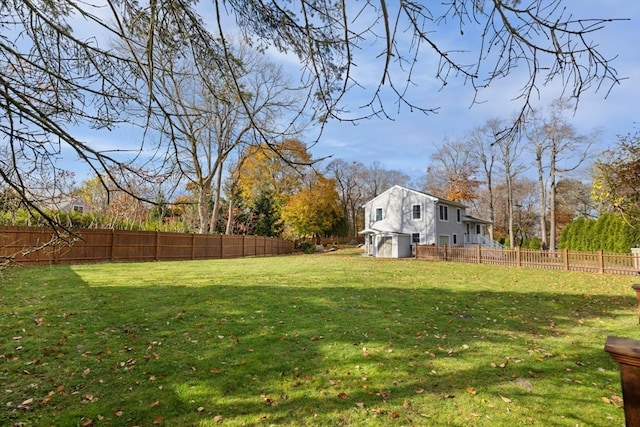 view of yard with a storage shed