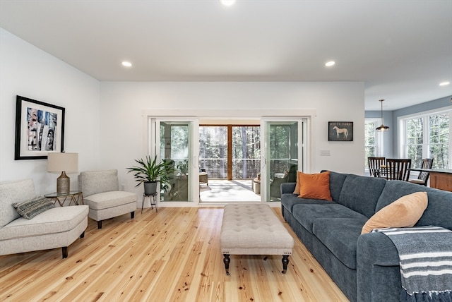 living room featuring light wood-type flooring