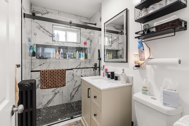115-117 Clare Ave, Boston, MA 02136 - full bathroom with radiator heating unit, vanity, toilet, and a marble finish shower