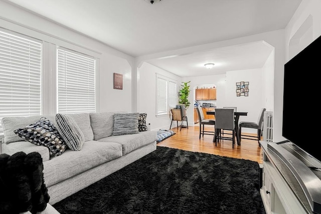 115-117 Clare Ave, Boston, MA 02136 - living area with light wood-type flooring