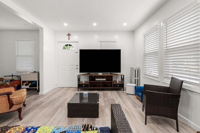 115-117 Clare Ave, Boston, MA 02136 - living area with wood finished floors, baseboards, recessed lighting, and radiator heating unit