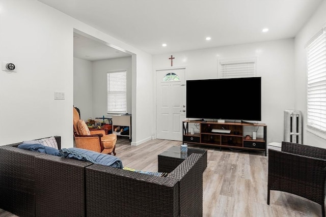 115-117 Clare Ave, Boston, MA 02136 - living area with light wood-style flooring, radiator, and recessed lighting