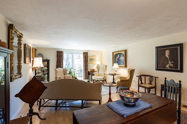 living room featuring hardwood / wood-style floors and a textured ceiling