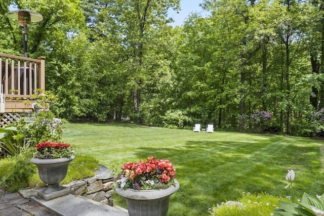 view of yard featuring a wooden deck