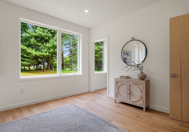 interior space featuring light wood-type flooring