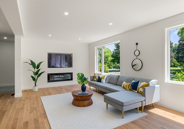 living room with light hardwood / wood-style floors