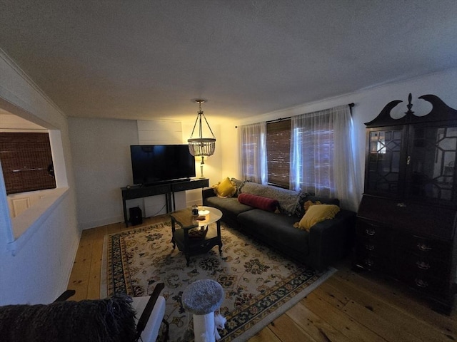 68 Lake Shore Dr, West Brookfield, MA 01585 - living room with wood-type flooring and a textured ceiling