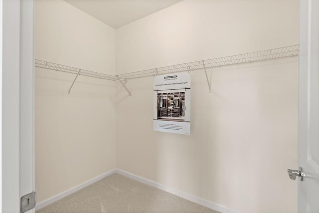 walk in closet featuring carpet