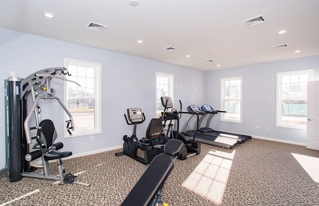 workout area with carpet floors and a wealth of natural light