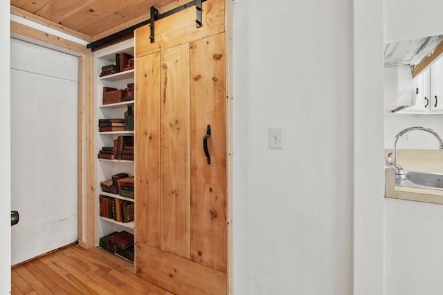 closet featuring sink